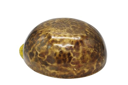 Khusi 9" Master Healing Tibetan Singing Bowls Set