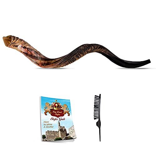 Kosher Jewish Shofar - Traditional Israeli Musical Instrument
