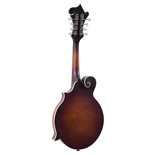The Loar F-Style Mandolin Honey Creek - LM-310F-BRB