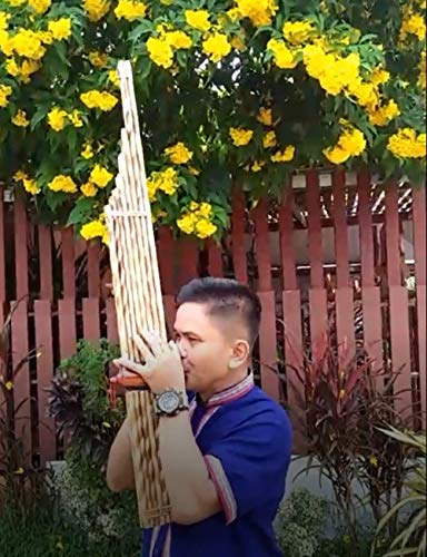 Professional Grade Cozinest Kan 8 Premium Thai Khaen