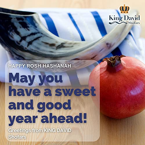 Kosher Jewish Shofar - Traditional Israeli Musical Instrument