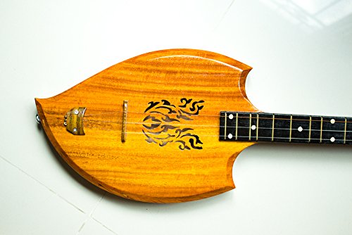 Traditional Thai Lao Acoustic Phin 3-String Guitar