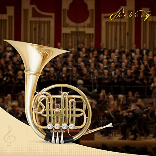 French Horn in B Flat Key - Gold Lacquer