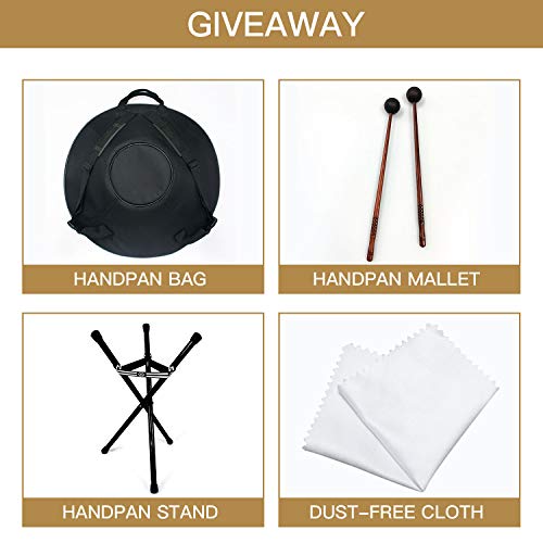 AS TEMAN HANDPAN, D Minor 9 Notes 22" Steel Drum