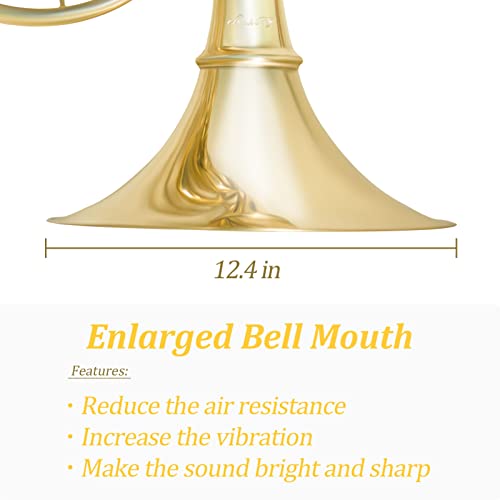 French Horn in B Flat Key - Gold Lacquer