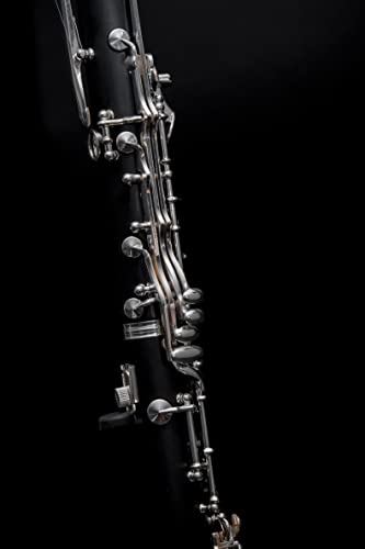 Herche Superior Bb Clarinet X3: Educator Approved Professional Grade