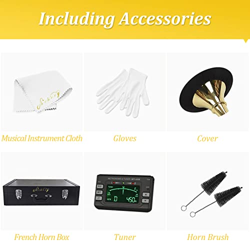 French Horn in B Flat Key - Gold Lacquer