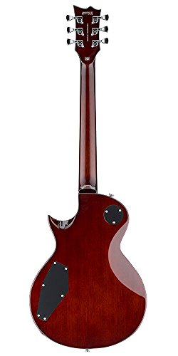 ESP LTD EC-256FM Electric Guitar, VIP Smart Shopper