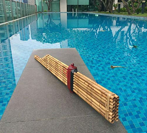 Premium Cozinest Thai Khaen Bamboo Pipes - Professional Level