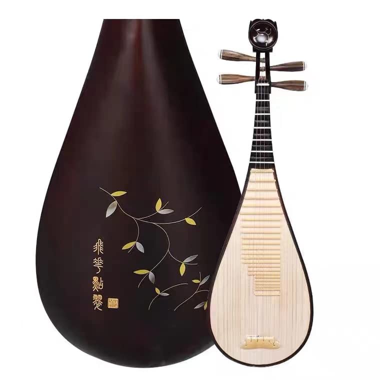 Professional Chinese Lute for VIP Smart Shoppers