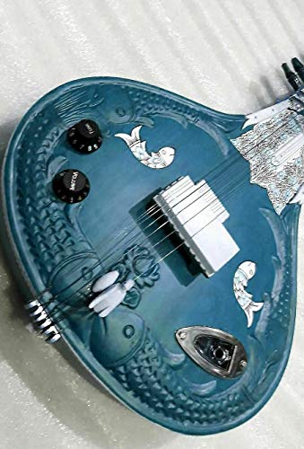 Electric Sitar - Handmade in India, Ravi Shankar Style