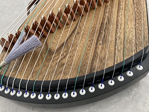 LANDTOM Guzheng Finger Trainer with Full Accessories & Backpack