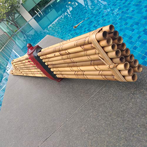 Premium Cozinest Thai Khaen Bamboo Pipes - Professional Level
