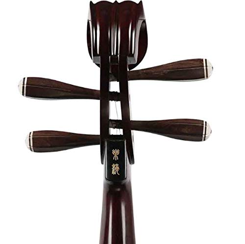 Professional Chinese Lute for VIP Smart Shoppers