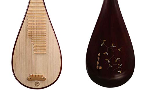 Professional Chinese Lute for VIP Smart Shoppers