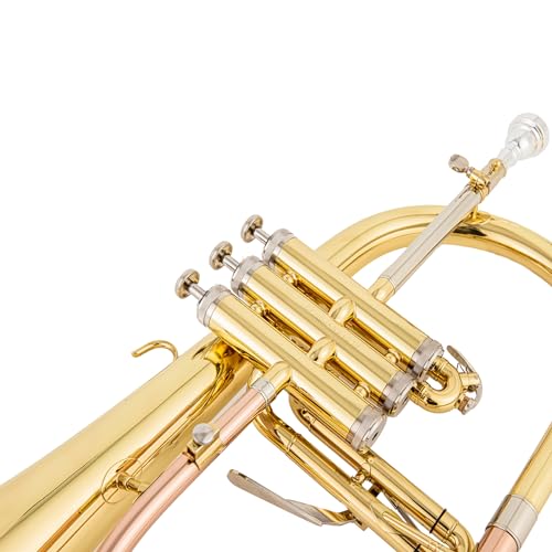 AUROSUS Trigger Flugelhorn - Beginner's Musical Instrument Choice