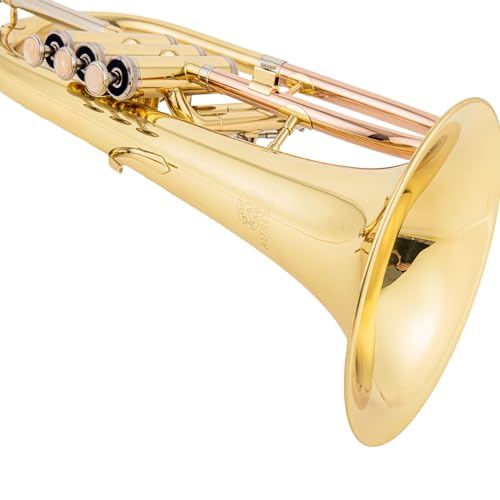 AUROSUS Trigger Flugelhorn - Beginner's Musical Instrument Choice