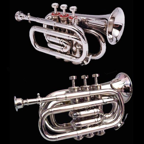 Brass Bb Pocket Cornet Set for Beginner Students