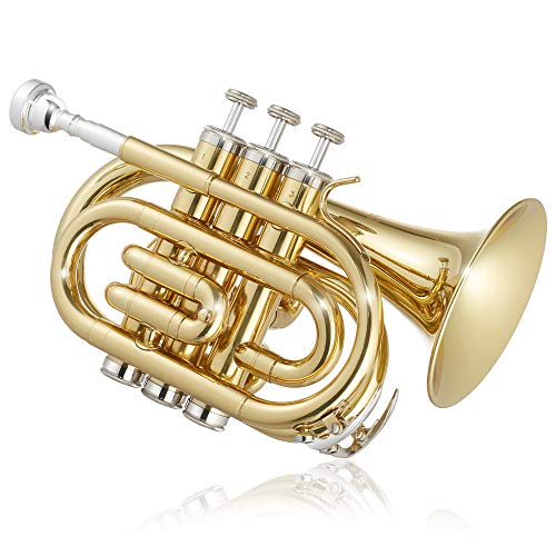Ashthorpe Bb Brass Pocket Trumpet with Gold Lacquer