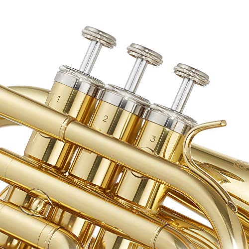 Ashthorpe Bb Brass Pocket Trumpet with Gold Lacquer