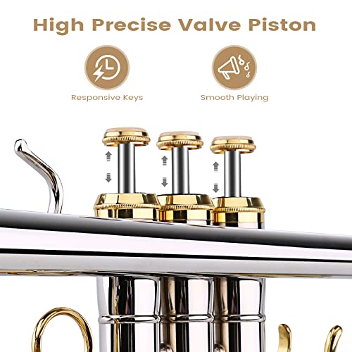 Asmuse Bb Standard Trumpet Set with Hard Case