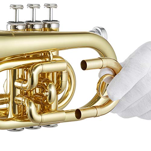 Ashthorpe Bb Brass Pocket Trumpet with Gold Lacquer