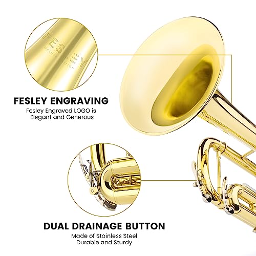 Fesley Bb Standard Trumpet Set for School Band