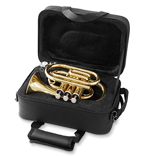 Ashthorpe Bb Brass Pocket Trumpet with Gold Lacquer
