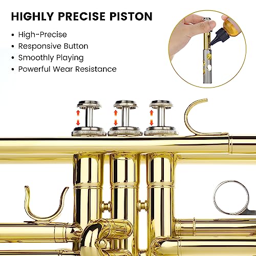 Fesley Bb Standard Trumpet Set for School Band