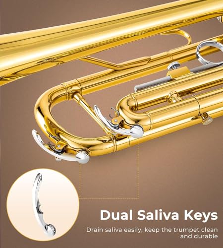 Vangoa Gold Bb Trumpet for Student School Orchestra