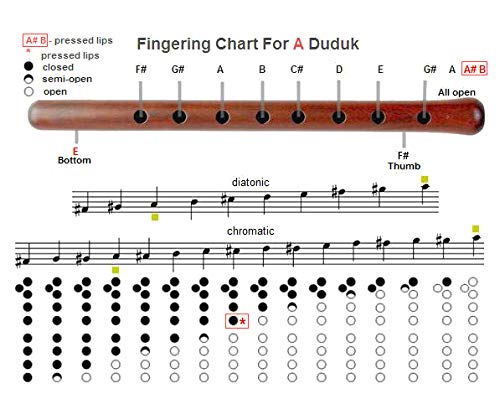 Armenian Engraved Duduk Pro - Apricot Wood, National Case