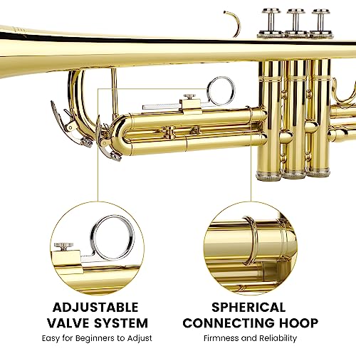 Fesley Bb Standard Trumpet Set for School Band