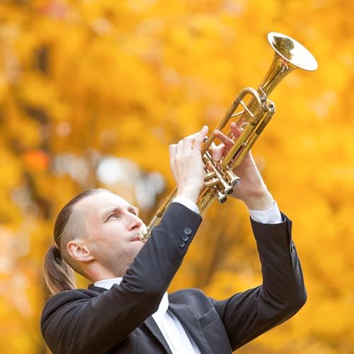 Vangoa Gold Bb Trumpet for Student School Orchestra