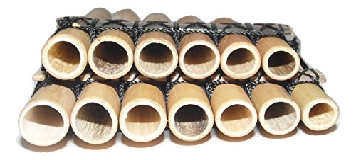 Compact Zampona Pan Flute with 13 Pipes & Case