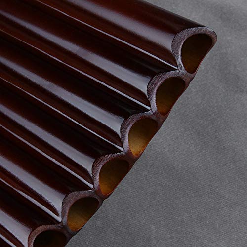 25 G Key Bamboo Pan Flute Set, Black Case