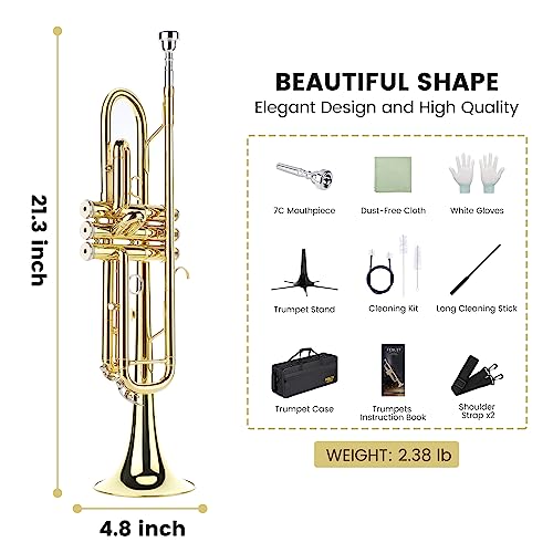 Fesley Bb Standard Trumpet Set for School Band