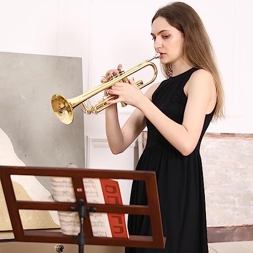 Fesley Bb Standard Trumpet Set for School Band