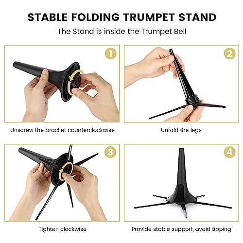 Fesley Bb Standard Trumpet Set for School Band