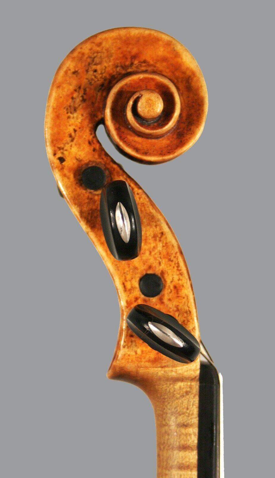 Certified rare Italian Mathias Albani violin, c.1670