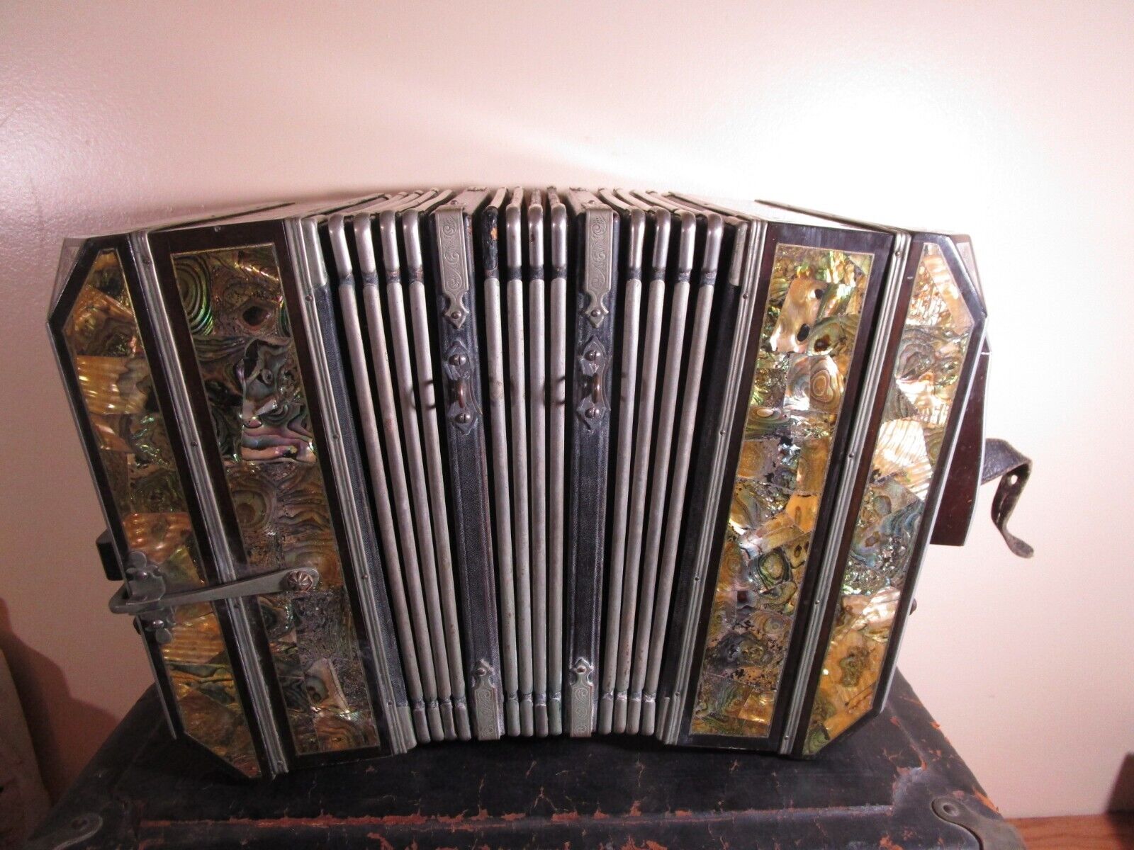 Georgi Vitak Antique Pearl Queen Button Accordion Case