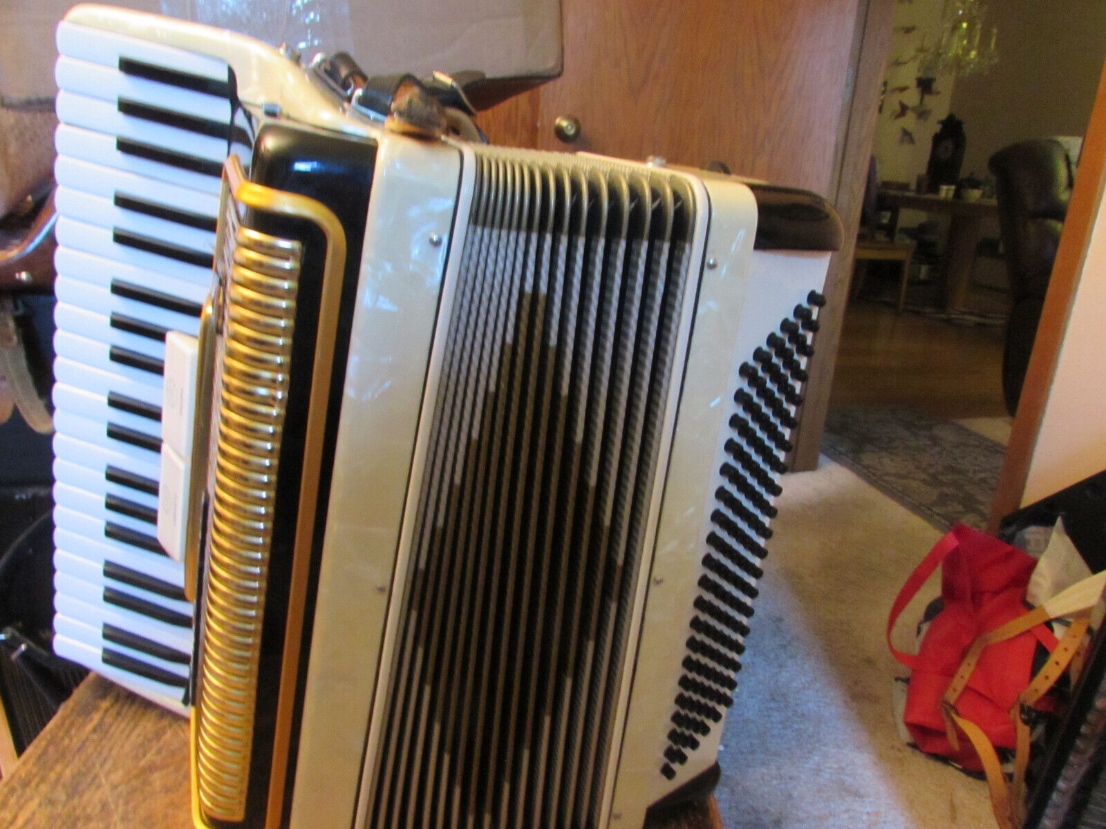 Accordion Camerano 120 Bass 3/4 Reeds 16" KB/LM