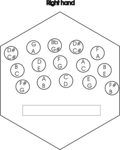 Rochelle Anglo Concertina Accordion - 5yr Warranty