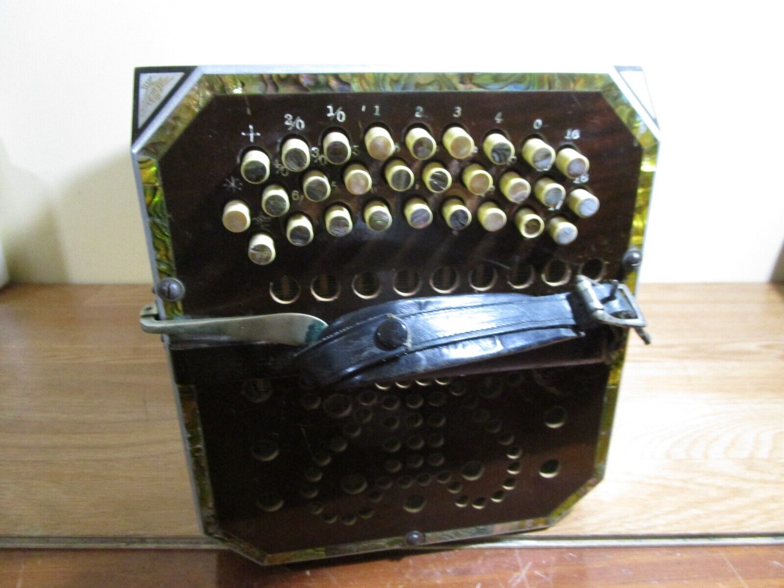 Georgi Vitak Antique Pearl Queen Button Accordion Case