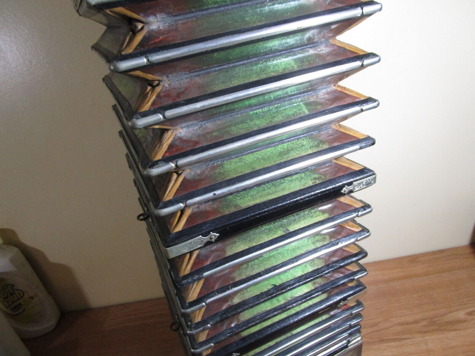 Georgi Vitak Antique Pearl Queen Button Accordion Case