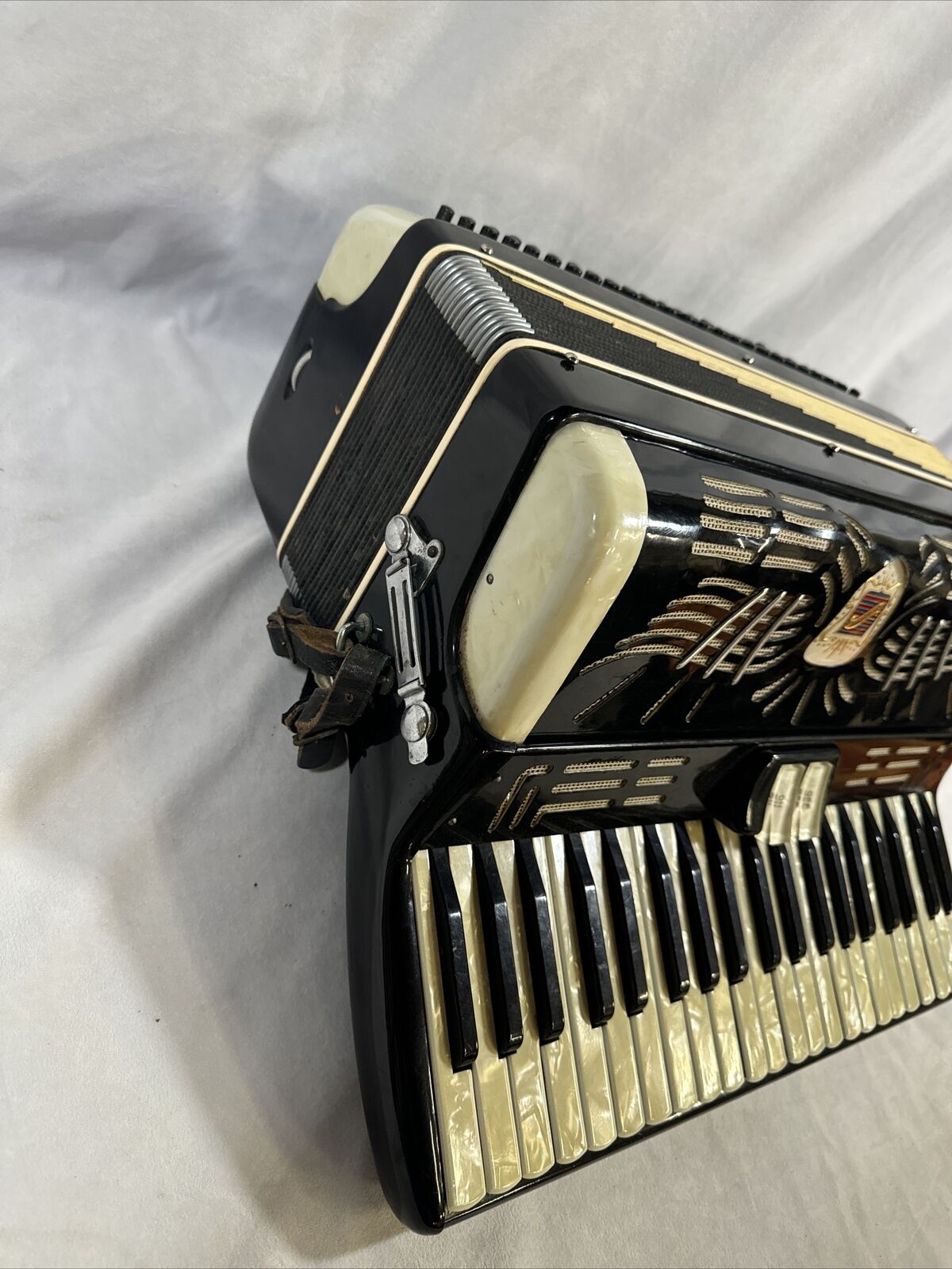 Renelli Piano Accordion Set in Protective Case