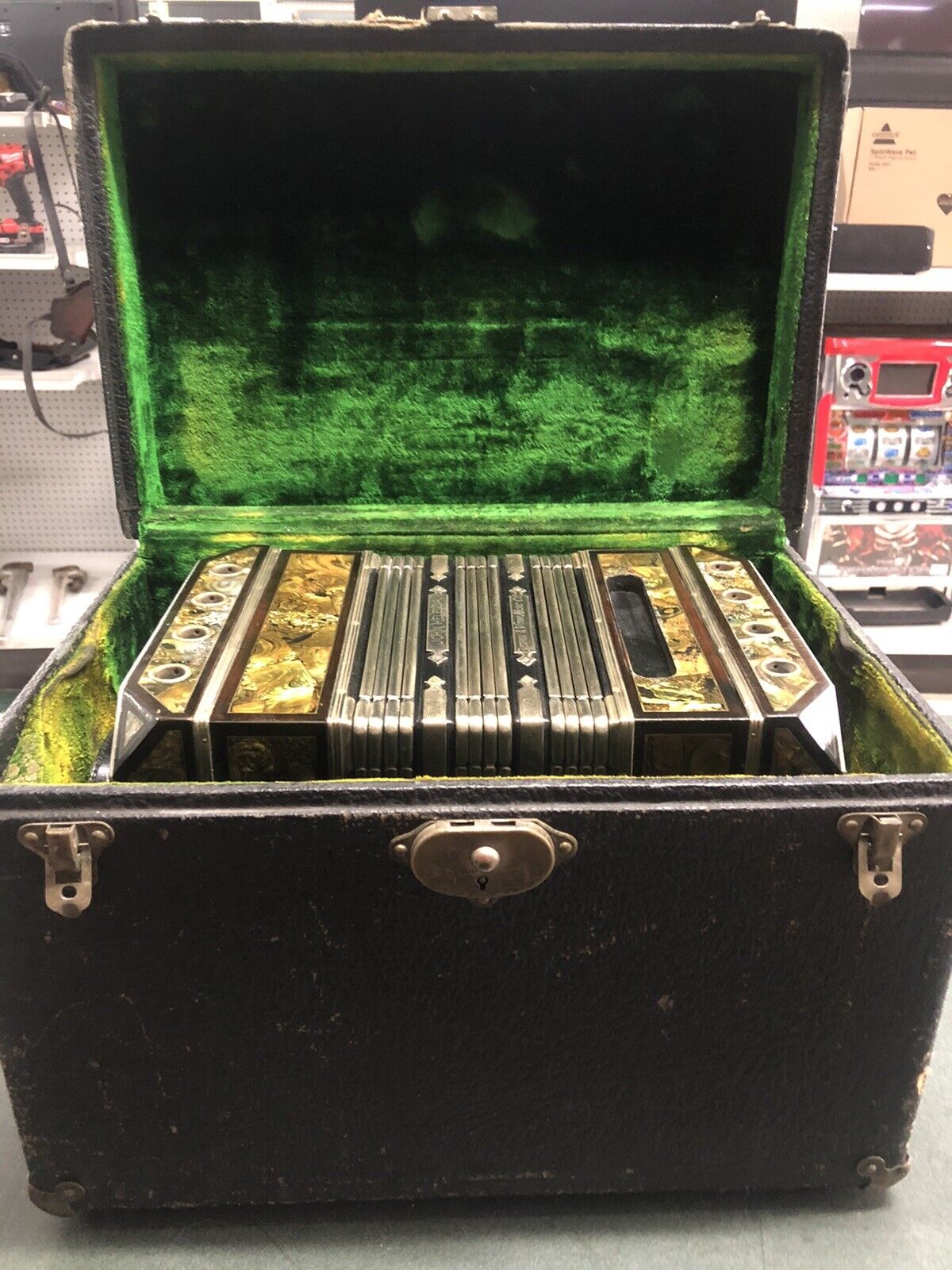 Georgi Vitak Pearl Queen Concertina Button Accordion