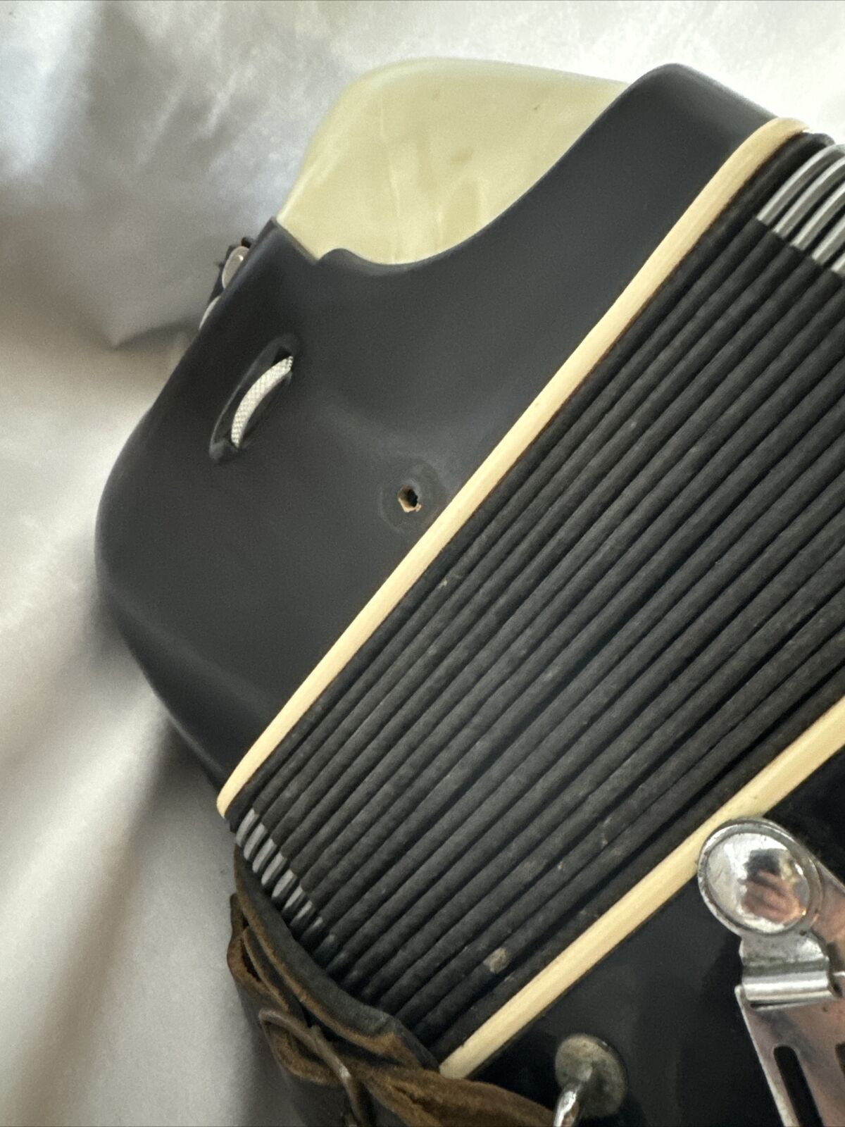 Renelli Piano Accordion Set in Protective Case