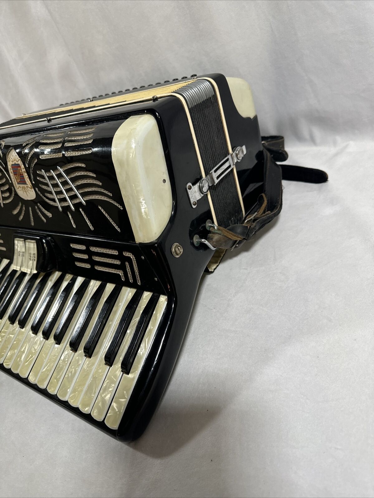 Renelli Piano Accordion Set in Protective Case