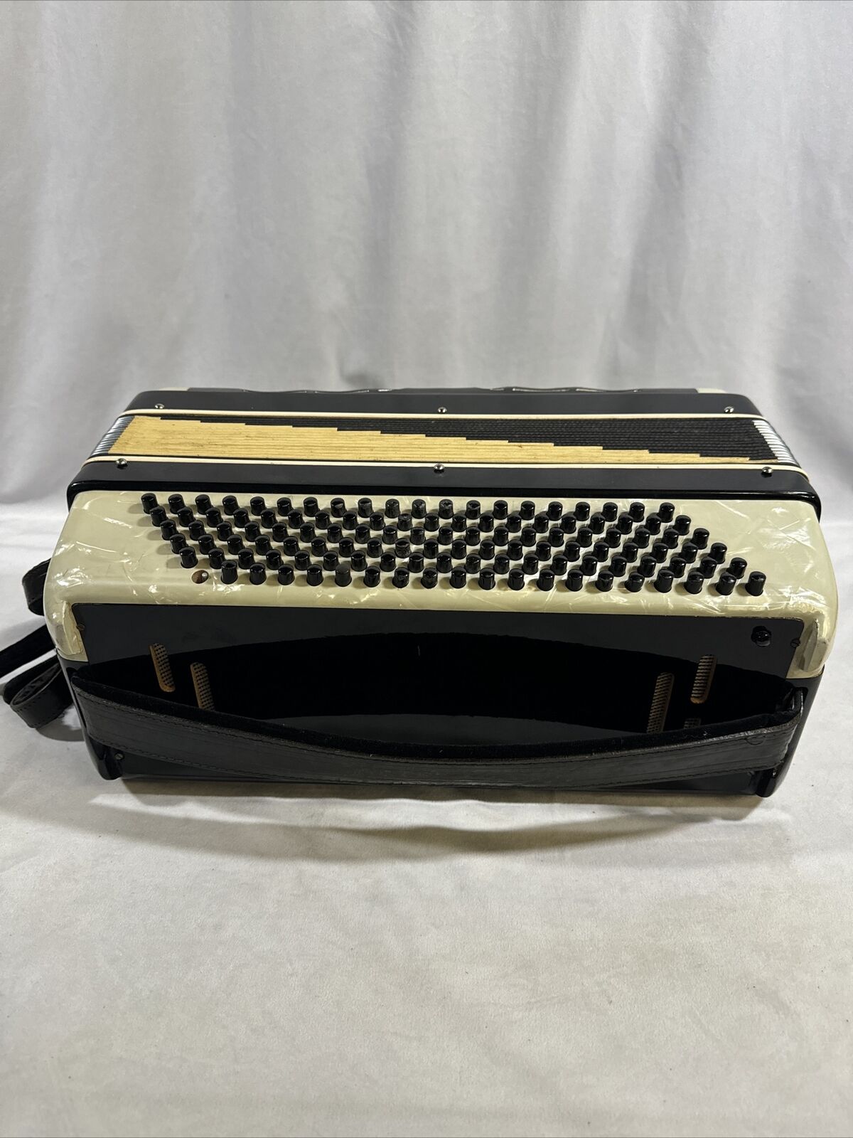 Renelli Piano Accordion Set in Protective Case