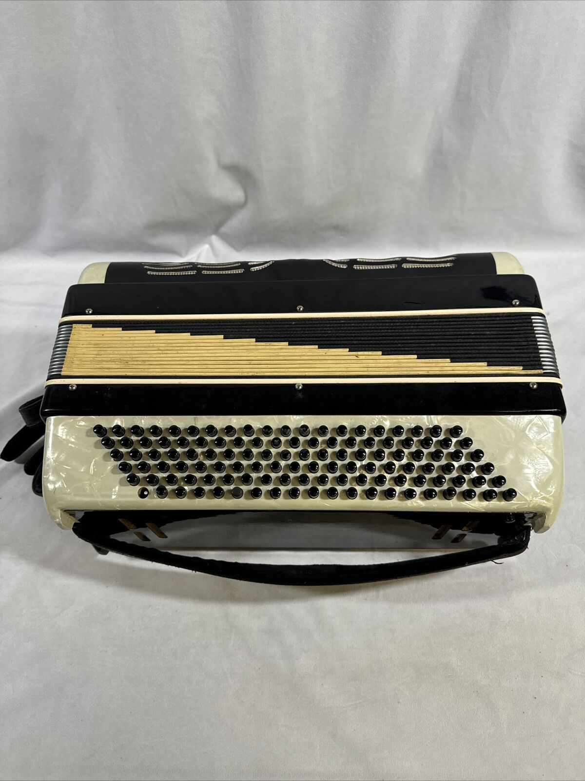 Renelli Piano Accordion Set in Protective Case